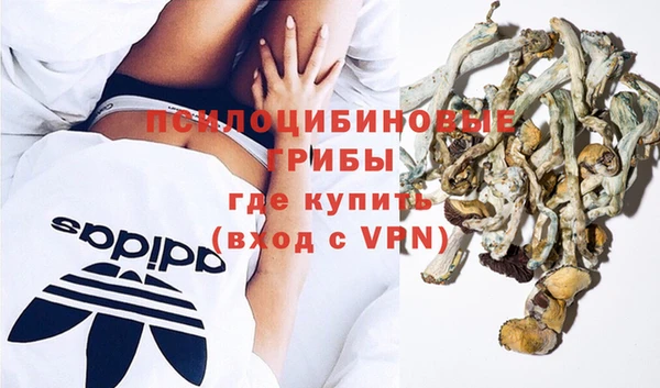 ПСИЛОЦИБИНОВЫЕ ГРИБЫ Наволоки