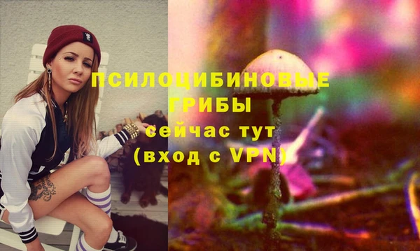ПСИЛОЦИБИНОВЫЕ ГРИБЫ Наволоки