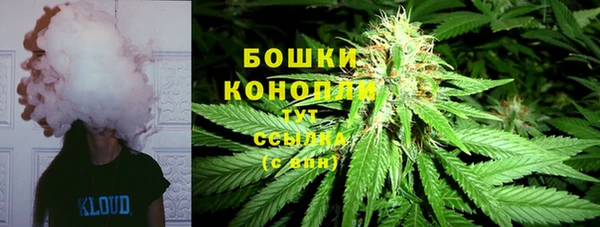 ПСИЛОЦИБИНОВЫЕ ГРИБЫ Наволоки