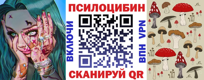 наркотики  Качканар  Галлюциногенные грибы Psilocybe 