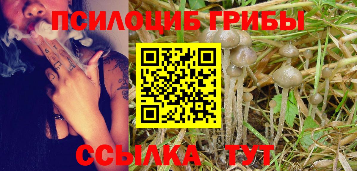 Галлюциногенные грибы Cubensis Качканар