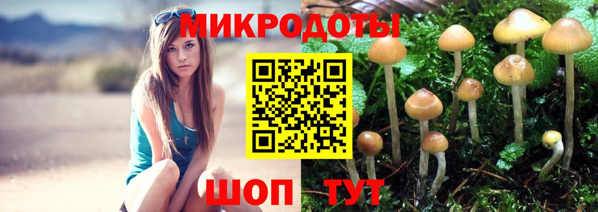 Псилоцибиновые грибы MAGIC MUSHROOMS  Псилоцибиновые грибы прущие грибы  Качканар  Вход с VPN 