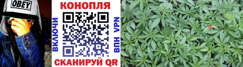 блэк спрут онион  Качканар  Бошки марихуана THC 21% 